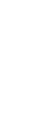 研ぎ澄まされた伝統の切味